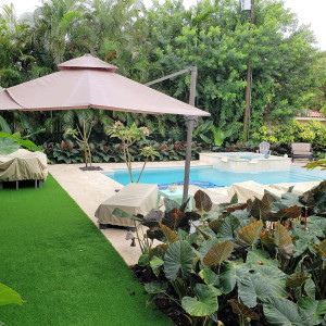 Coral Gables, FL New Construction 15'x30' Pool 7'x7' Raised Spa Coral Gables, FL New Construction